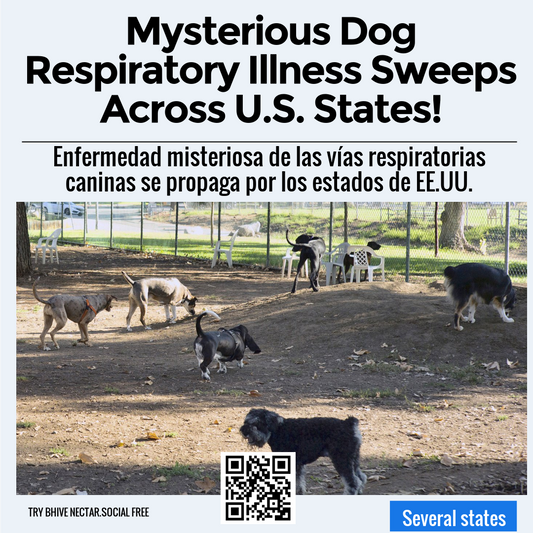 Mysterious Dog Respiratory Illness Sweeps Across U.S. States!