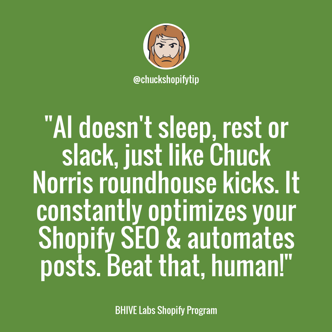 Boost SEO, Automate Social Media & Skyrocket your Shopify Store with the Power of AI: Unleash the 'Chuck Norris' Within!