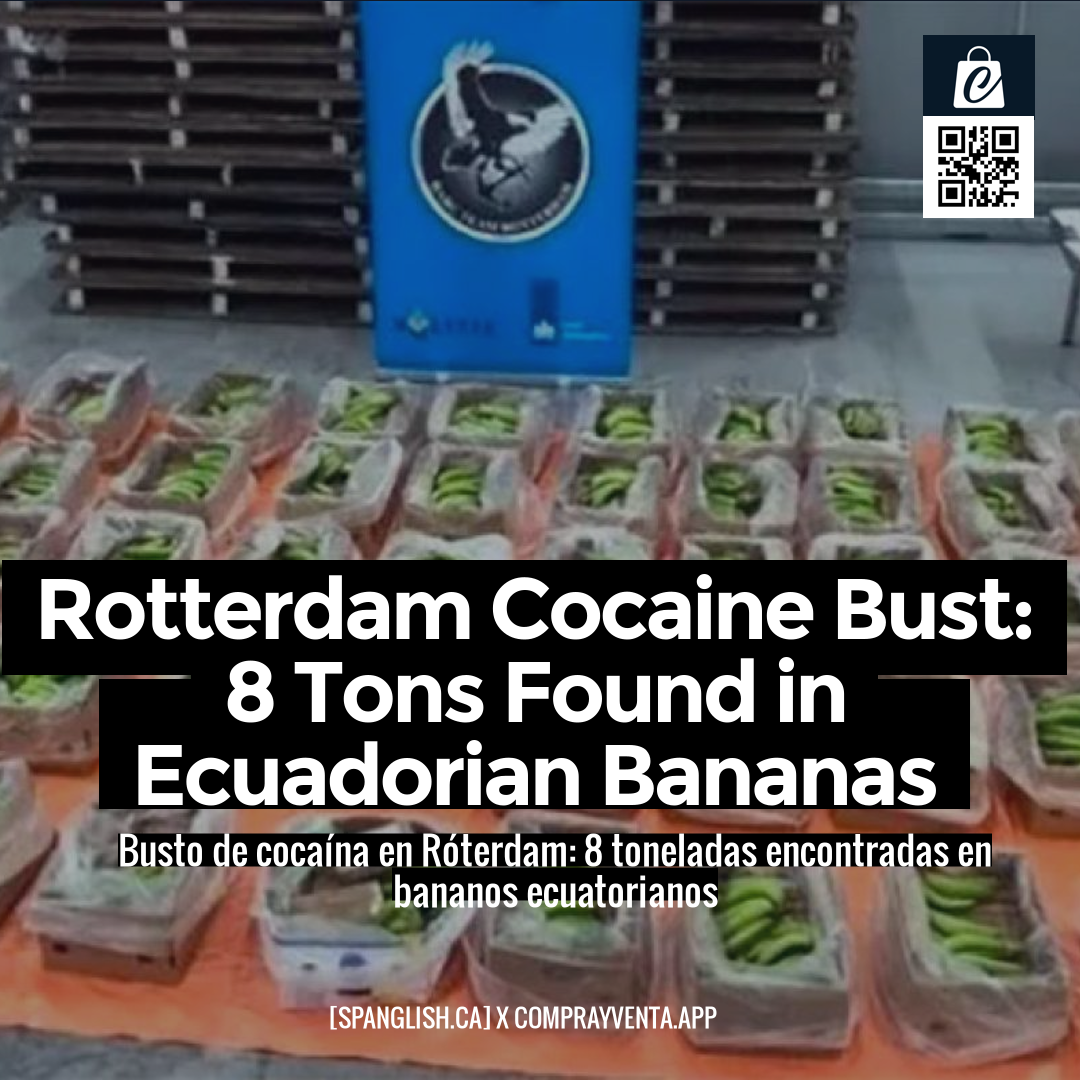 Rotterdam Cocaine Bust: 8 Tons Found in Ecuadorian Bananas