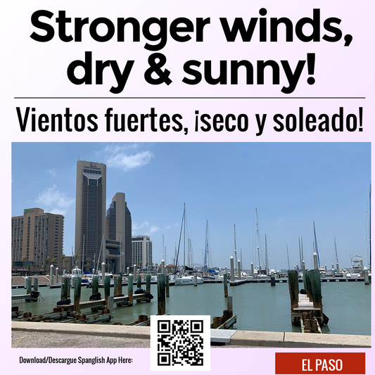 Stronger winds, dry & sunny!