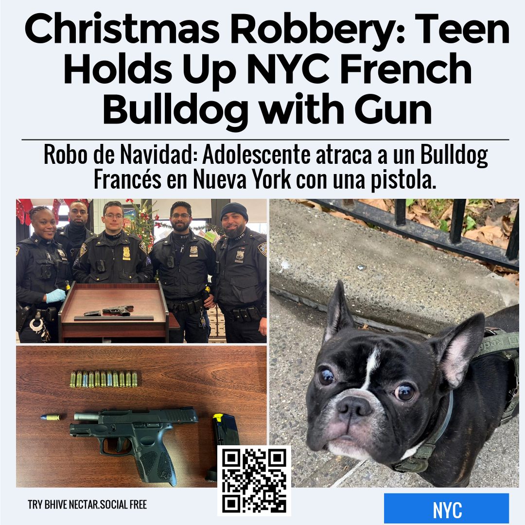 Christmas Robbery: Teen Holds Up NYC French Bulldog with Gun