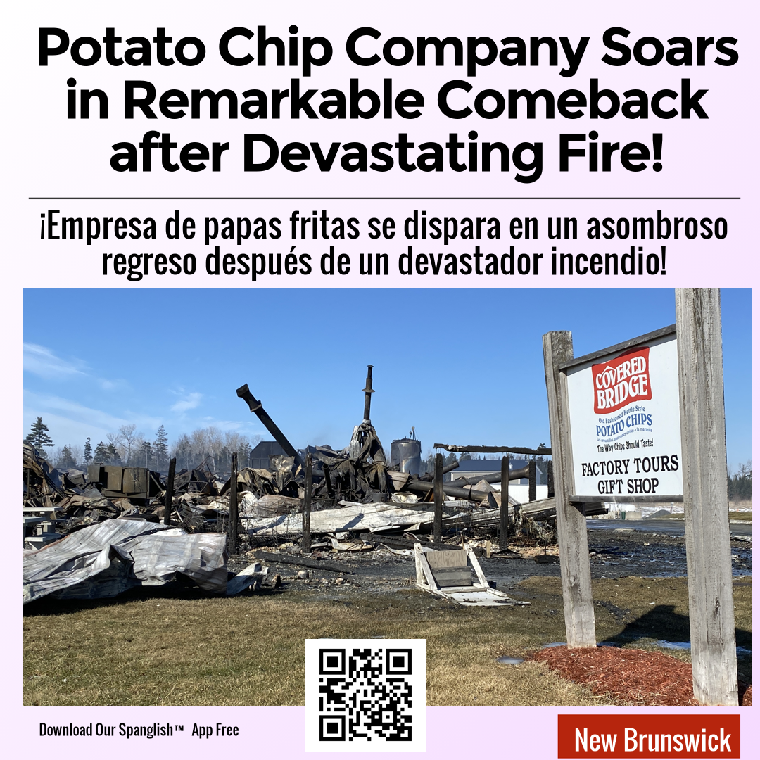 Potato Chip Company Soars in Remarkable Comeback after Devastating Fire!