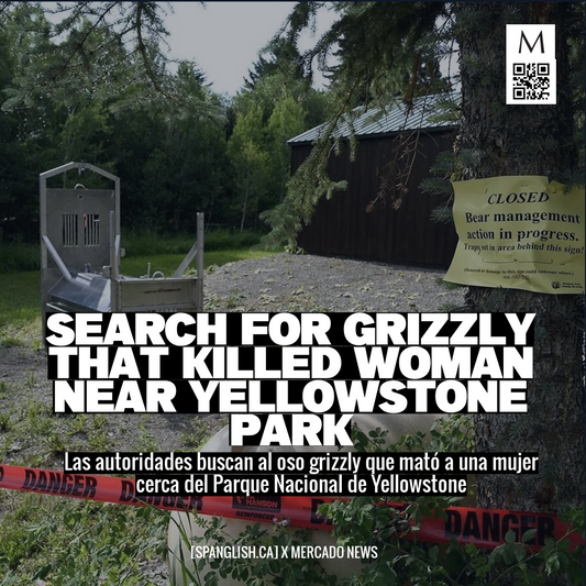 Search for Grizzly That Killed Woman Near Yellowstone Park