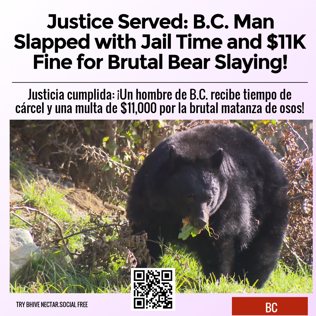 Justice Served: B.C. Man Slapped with Jail Time and $11K Fine for Brutal Bear Slaying!