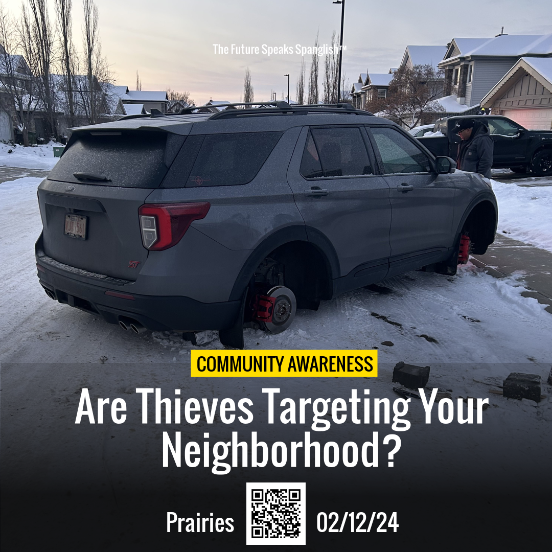 Tire Thief Strikes in Edmonton: Stay Vigilant!