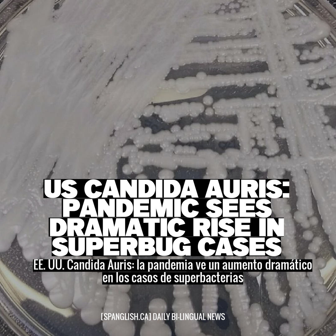 US Candida Auris: Pandemic Sees Dramatic Rise in Superbug Cases