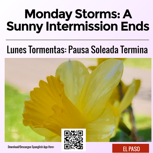 Monday Storms: A Sunny Intermission Ends