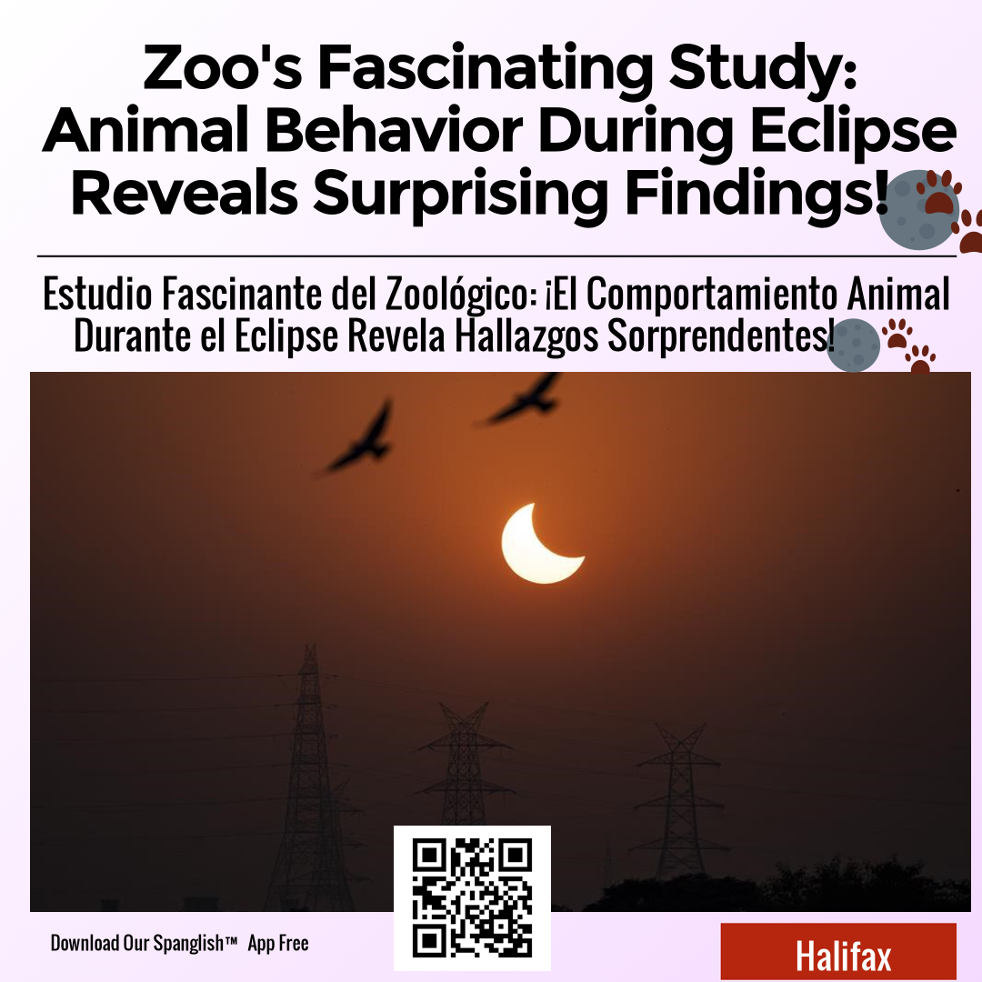 Zoo's Fascinating Study: Animal Behavior During Eclipse Reveals Surprising Findings! 🌑🐾