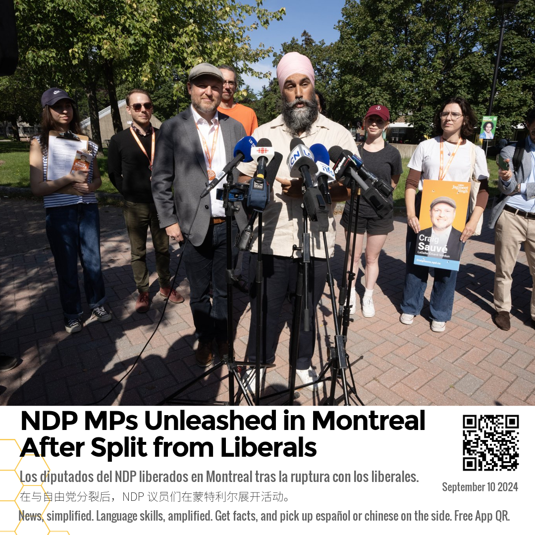 NDP MPs Unleashed in Montreal After Split from Liberals