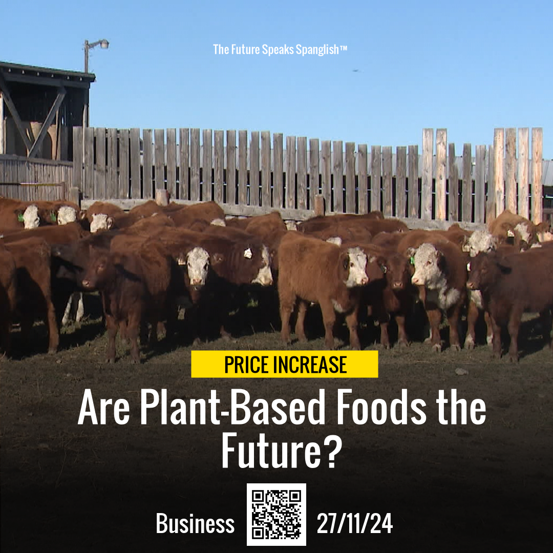 Beef Prices Soar: Discover Delicious Plant-Based Meals!