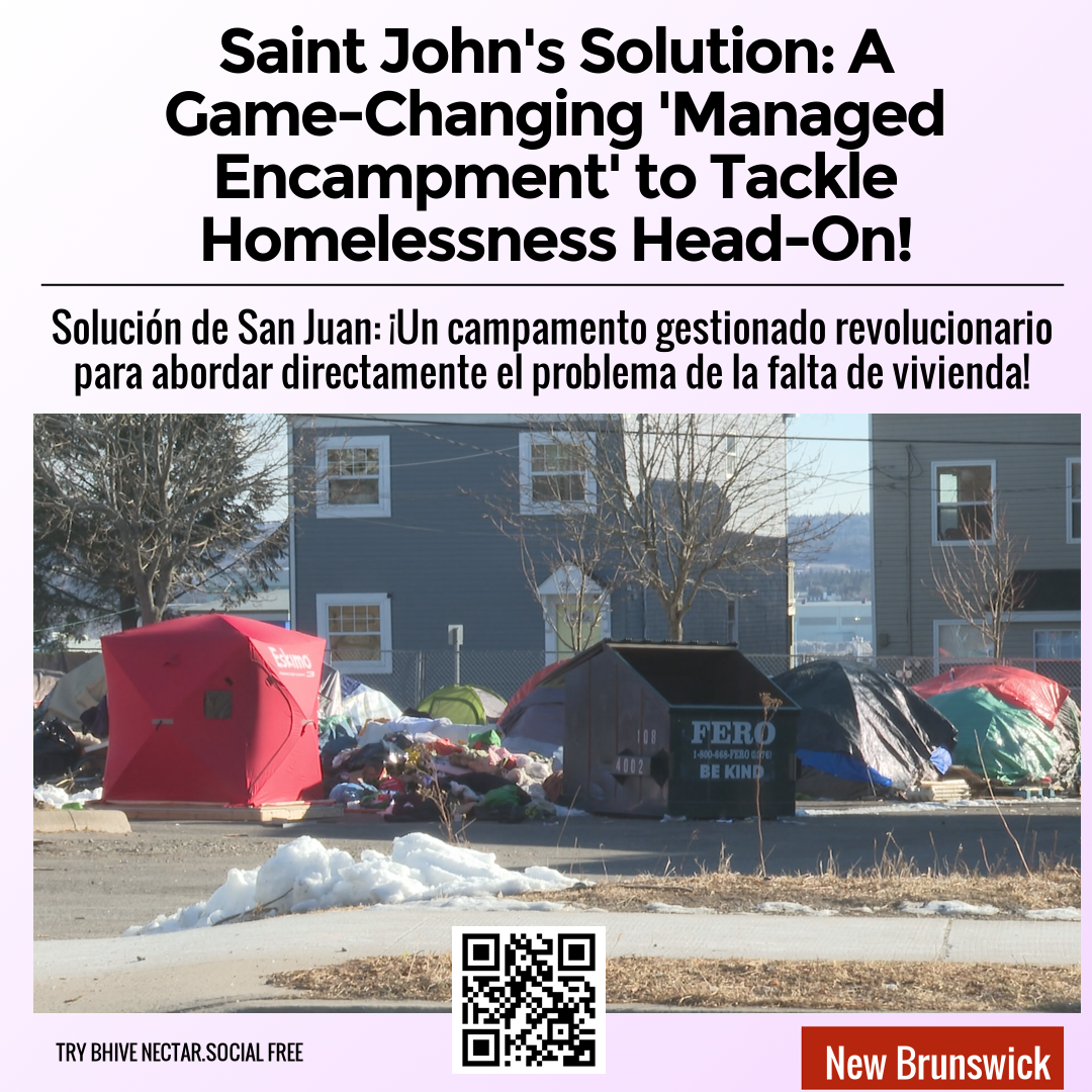 Saint John's Solution: A Game-Changing 'Managed Encampment' to Tackle Homelessness Head-On!