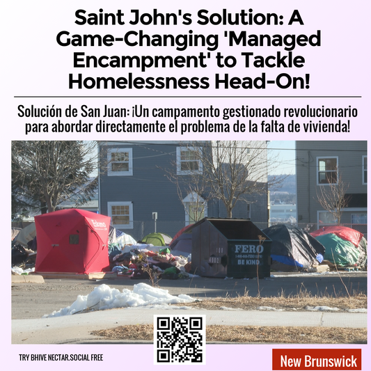 Saint John's Solution: A Game-Changing 'Managed Encampment' to Tackle Homelessness Head-On!