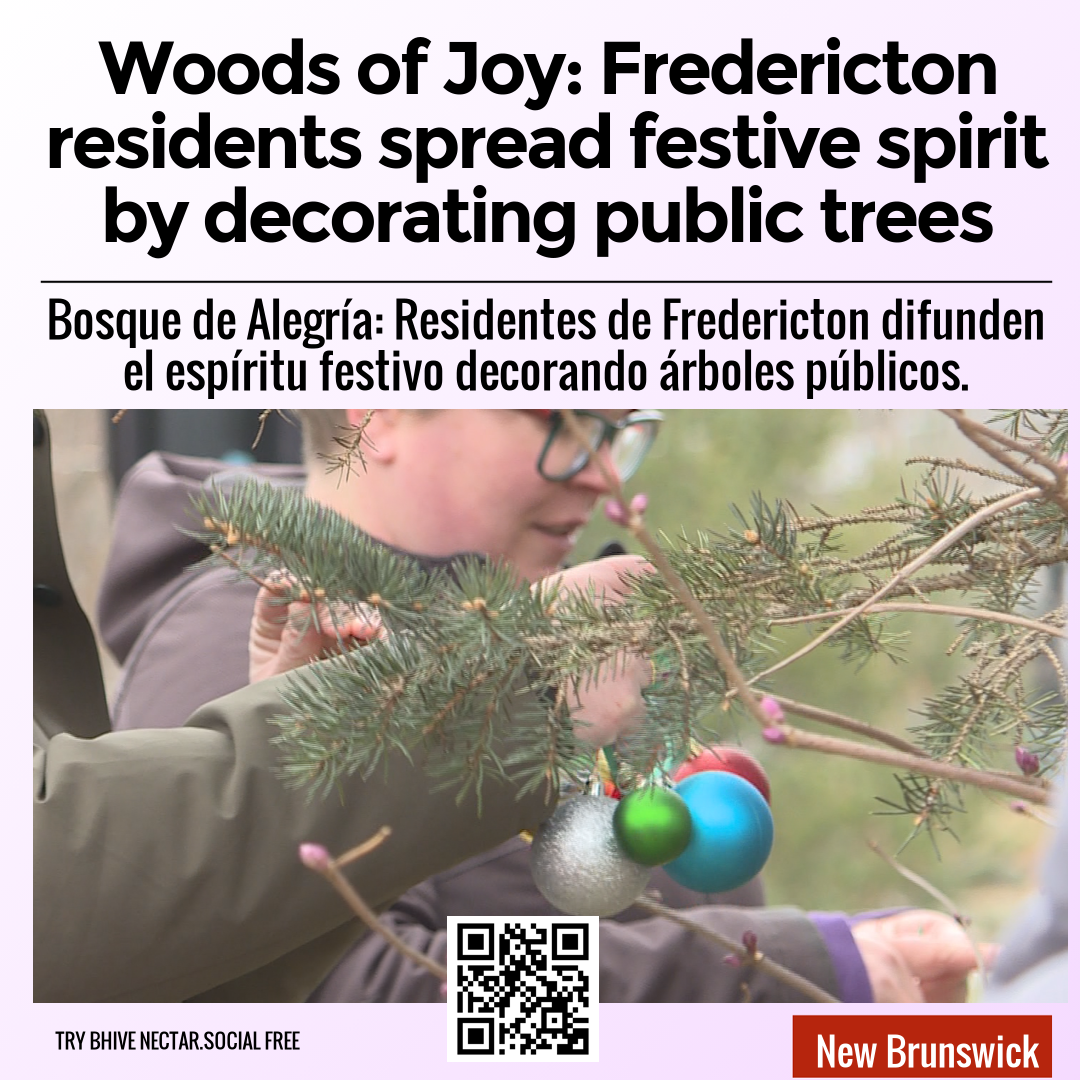 Woods of Joy: Fredericton residents spread festive spirit by decorating public trees