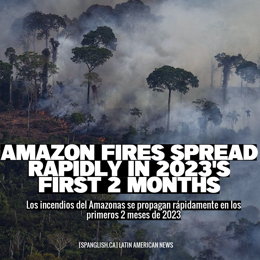 Amazon Fires Spread Rapidly in 2023's First 2 Months