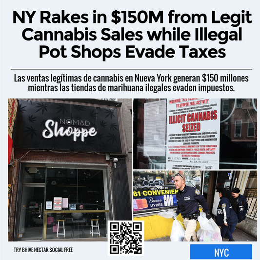 NY Rakes in $150M from Legit Cannabis Sales while Illegal Pot Shops Evade Taxes