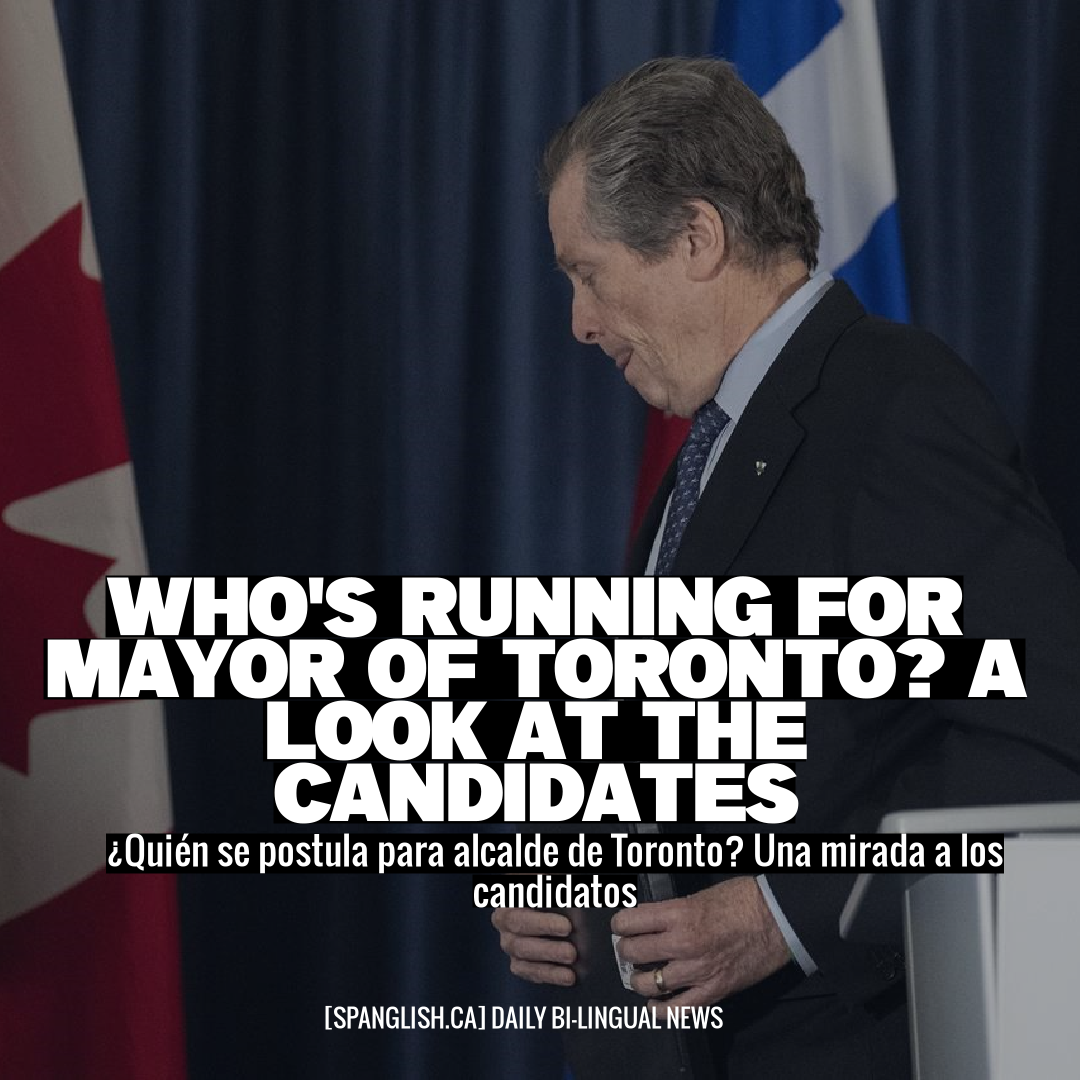 Who's Running for Mayor of Toronto? A Look at the Candidates