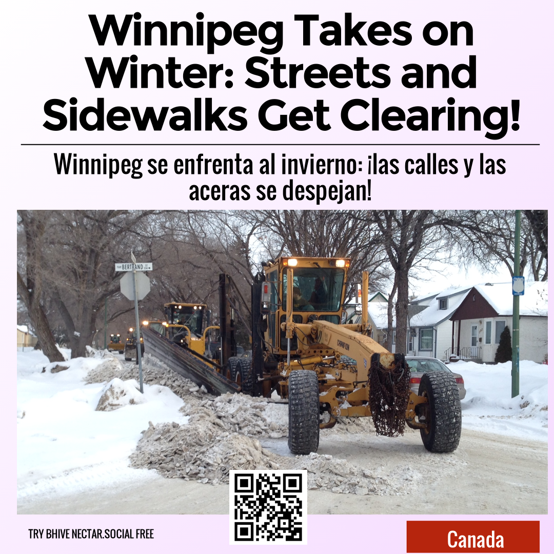 Winnipeg Takes on Winter: Streets and Sidewalks Get Clearing!