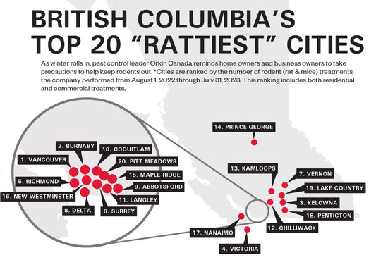 Orkin Canada's Latest Ranking: B.C.'s 'Rattiest' Cities Unveiled