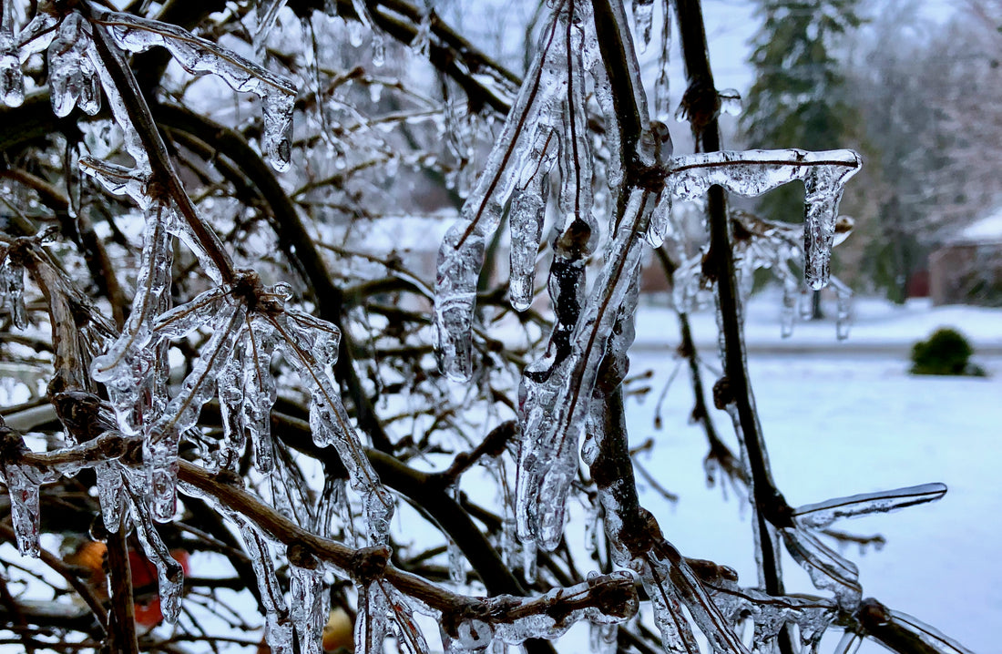 Outlook: Icy Storm Alert for B.C.'s Interior