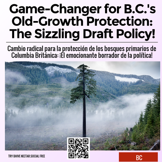 Game-Changer for B.C.'s Old-Growth Protection: The Sizzling Draft Policy!