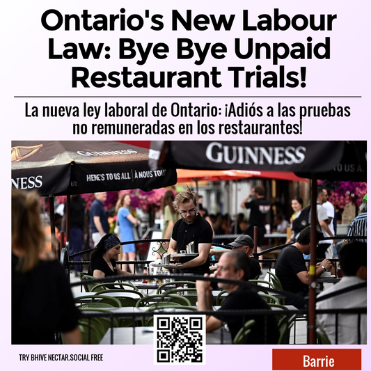 Ontario's New Labour Law: Bye Bye Unpaid Restaurant Trials!