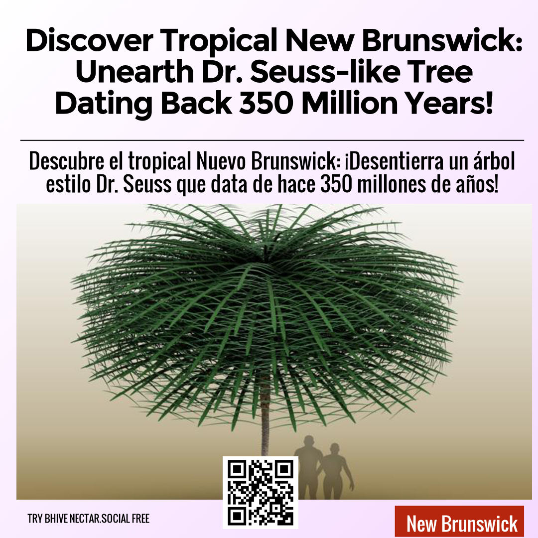 Discover Tropical New Brunswick: Unearth Dr. Seuss-like Tree Dating Back 350 Million Years!