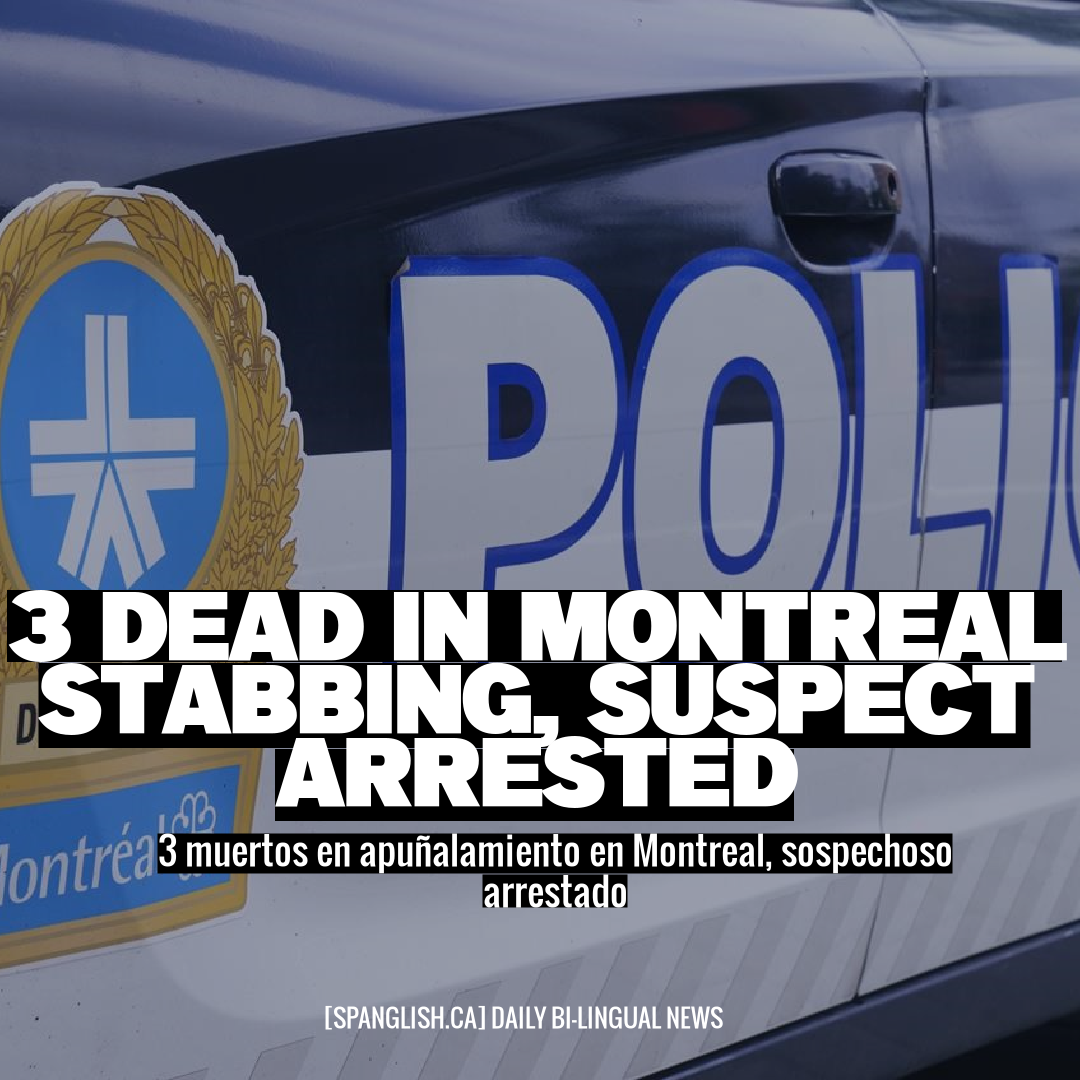 3 Dead in Montreal Stabbing, Suspect Arrested