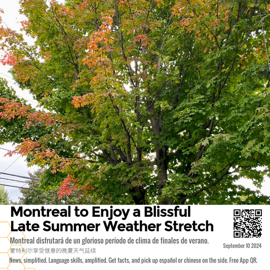 Montreal to Enjoy a Blissful Late Summer Weather Stretch