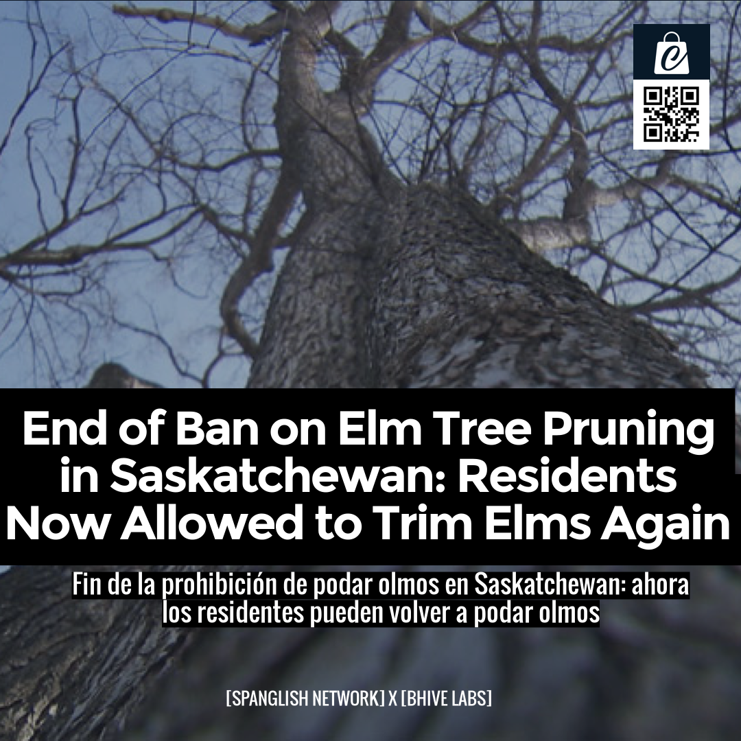 End of Ban on Elm Tree Pruning in Saskatchewan: Residents Now Allowed to Trim Elms Again