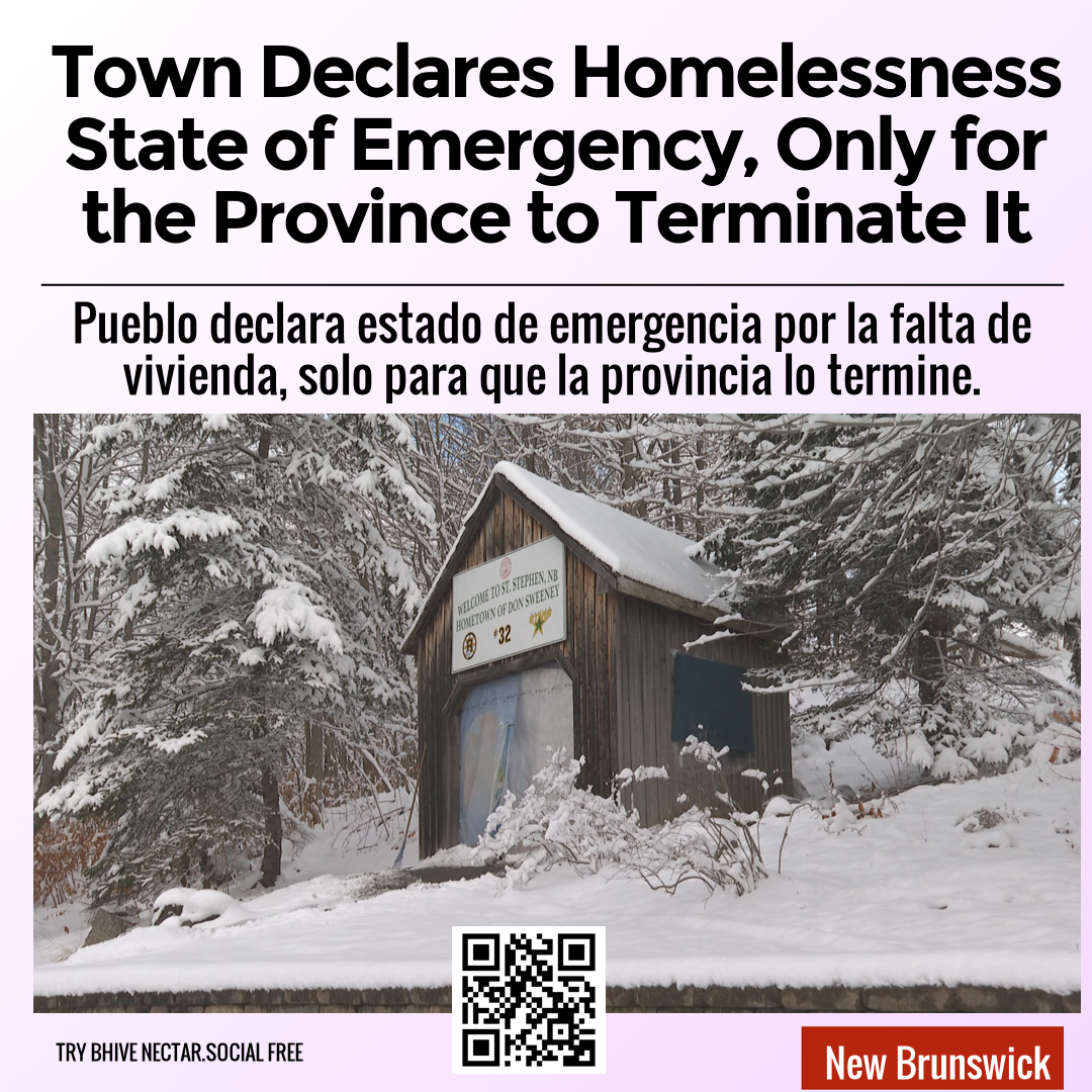 Town Declares Homelessness State of Emergency, Only for the Province to Terminate It