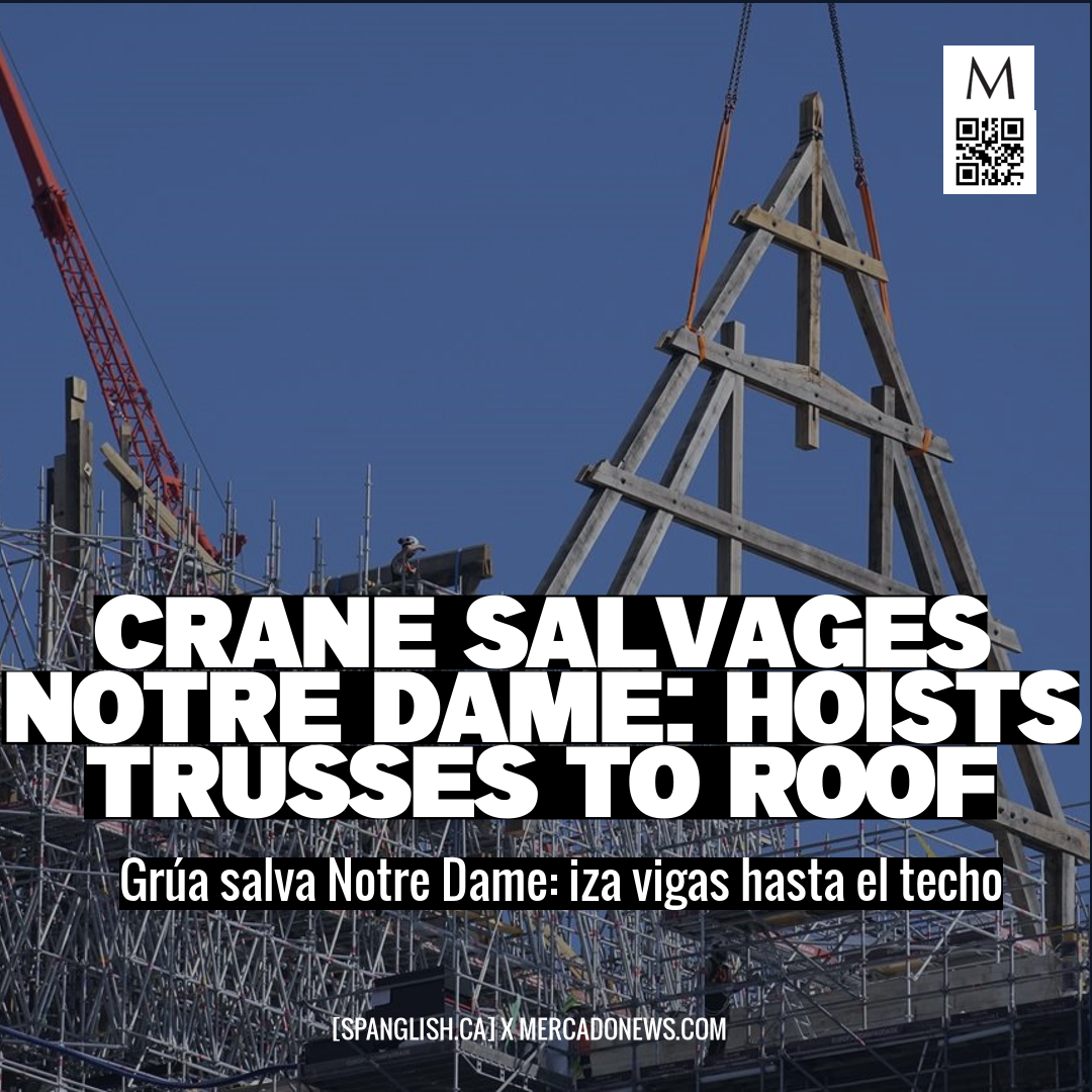 Crane Salvages Notre Dame: Hoists Trusses to Roof