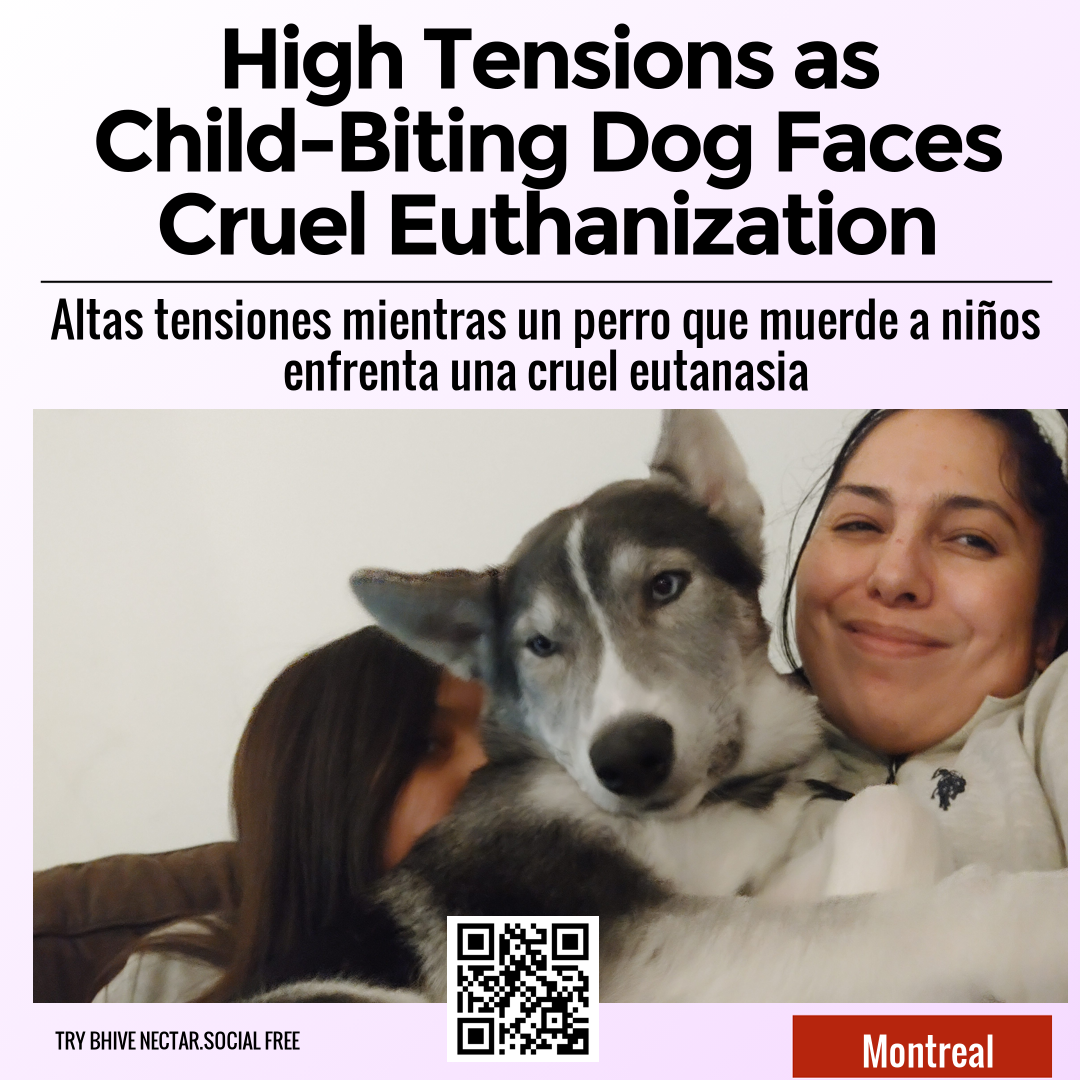 High Tensions as Child-Biting Dog Faces Cruel Euthanization