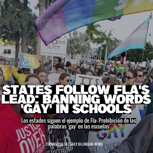 States Follow Fla's Lead: Banning Words 'Gay' in Schools