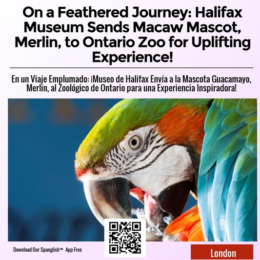 On a Feathered Journey: Halifax Museum Sends Macaw Mascot, Merlin, to Ontario Zoo for Uplifting Experience!