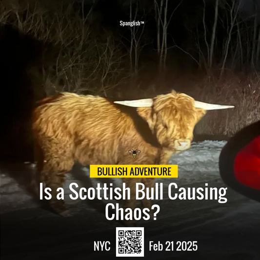 Is a Scottish Bull Causing Chaos?