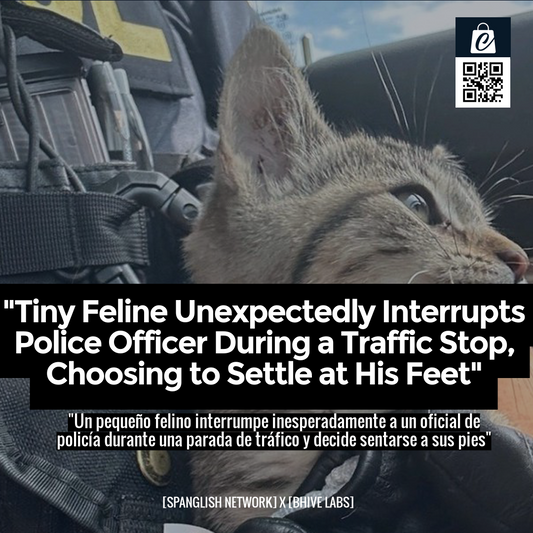 "Tiny Feline Unexpectedly Interrupts Police Officer During a Traffic Stop, Choosing to Settle at His Feet"