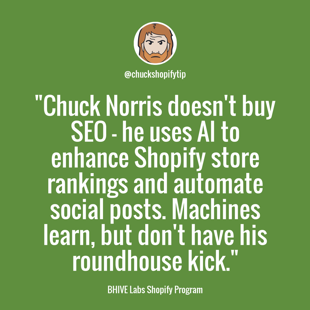 Boost Your Shopify Store's Success with AI-Powered Automation: Conquer the Digital Space like Chuck Norris