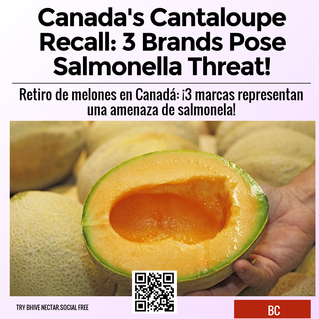 Canada's Cantaloupe Recall: 3 Brands Pose Salmonella Threat!