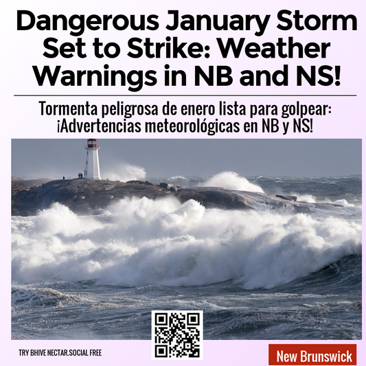 Dangerous January Storm Set to Strike: Weather Warnings in NB and NS!