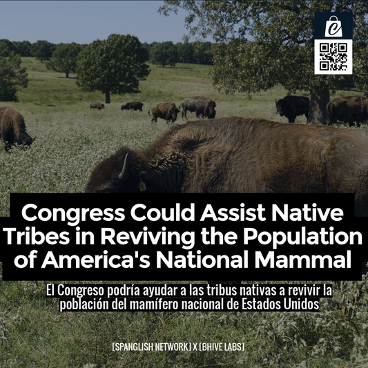 Congress Could Assist Native Tribes in Reviving the Population of America's National Mammal