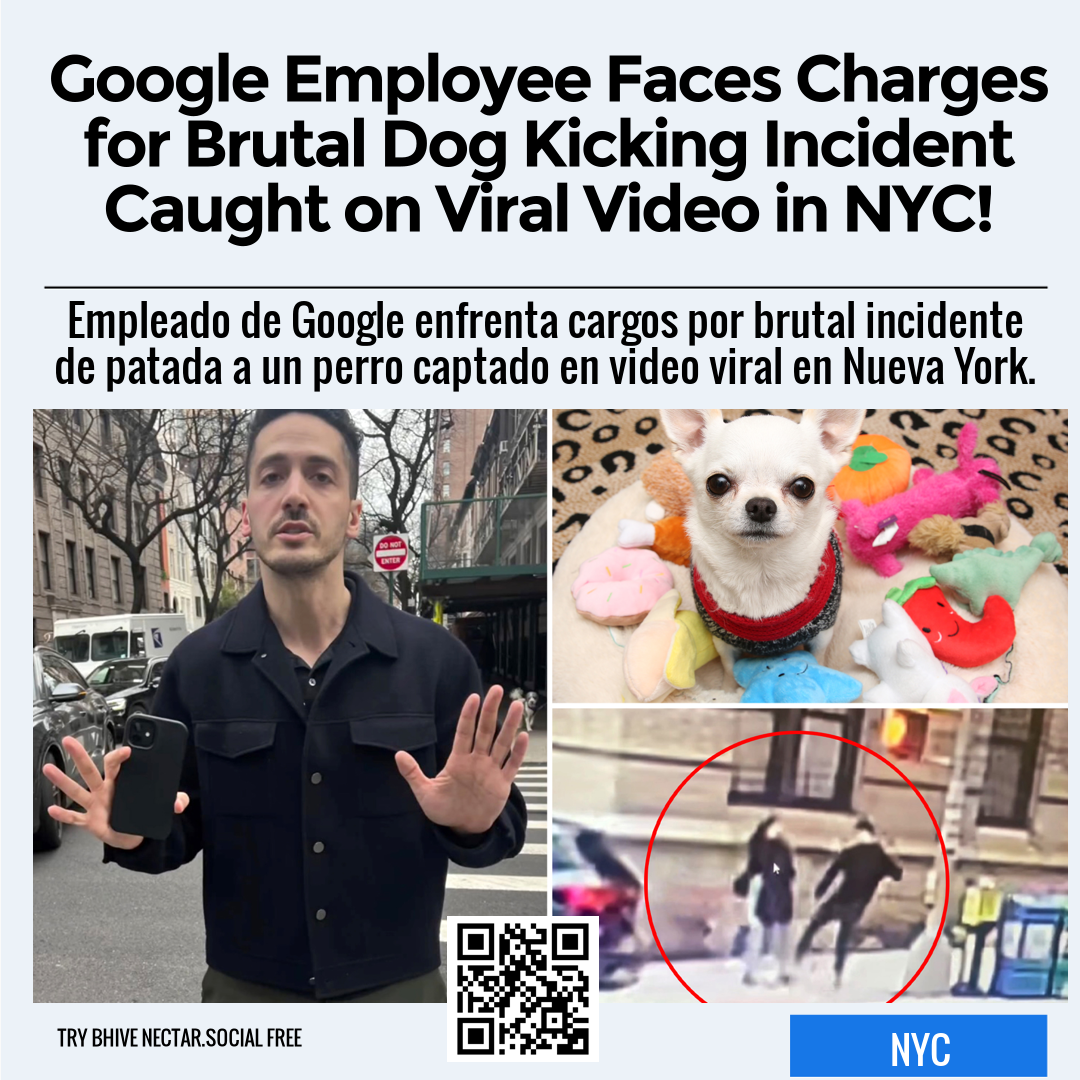 Google Employee Faces Charges For Brutal Dog Kicking Incident Caught O ...