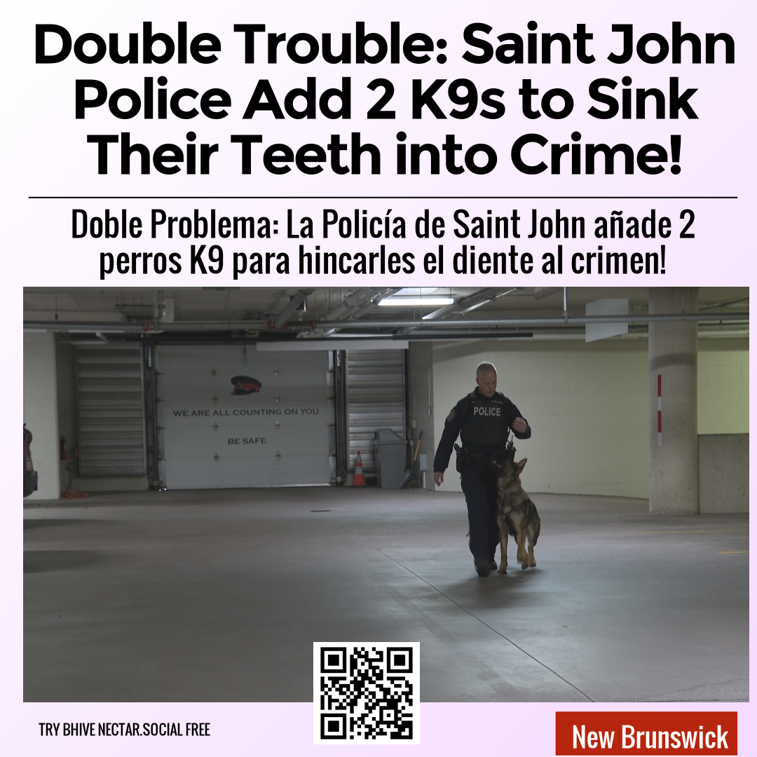 Double Trouble: Saint John Police Add 2 K9s to Sink Their Teeth into Crime!