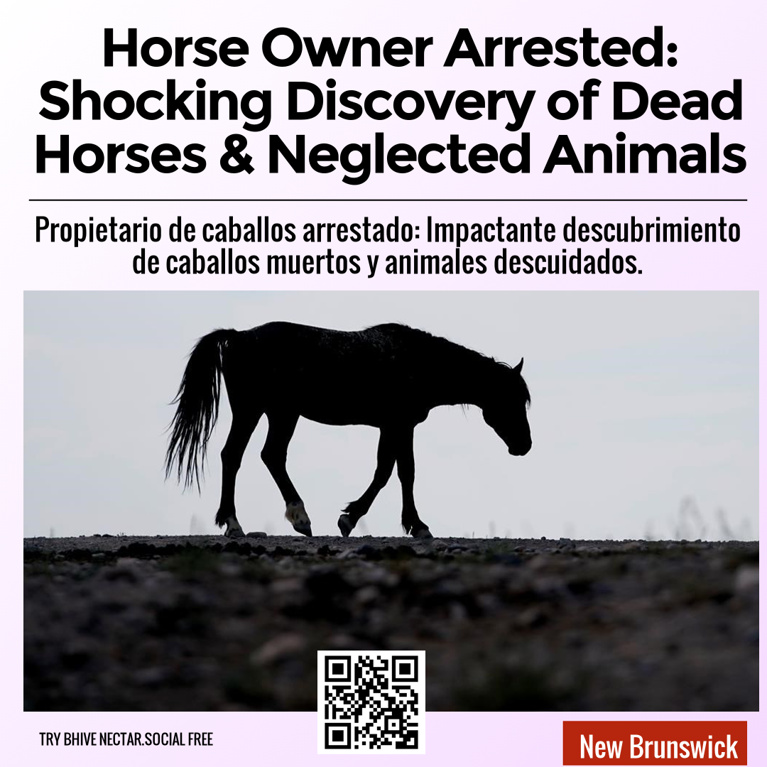 Horse Owner Arrested: Shocking Discovery of Dead Horses & Neglected Animals