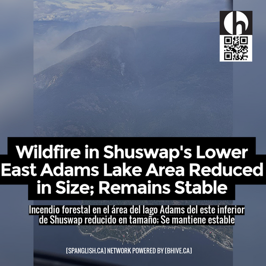 Wildfire in Shuswap's Lower East Adams Lake Area Reduced in Size; Remains Stable