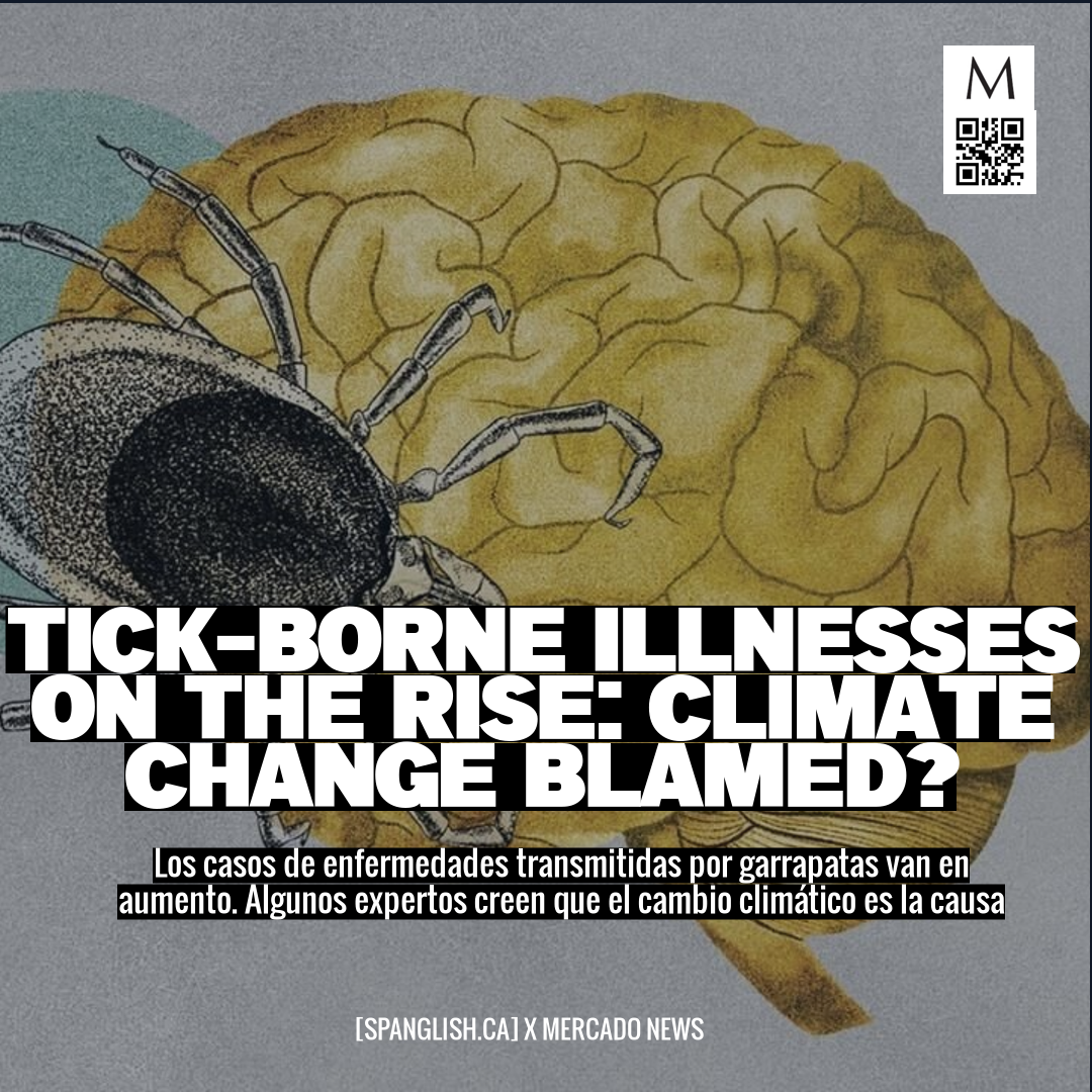 Tick-Borne Illnesses on the Rise: Climate Change Blamed?