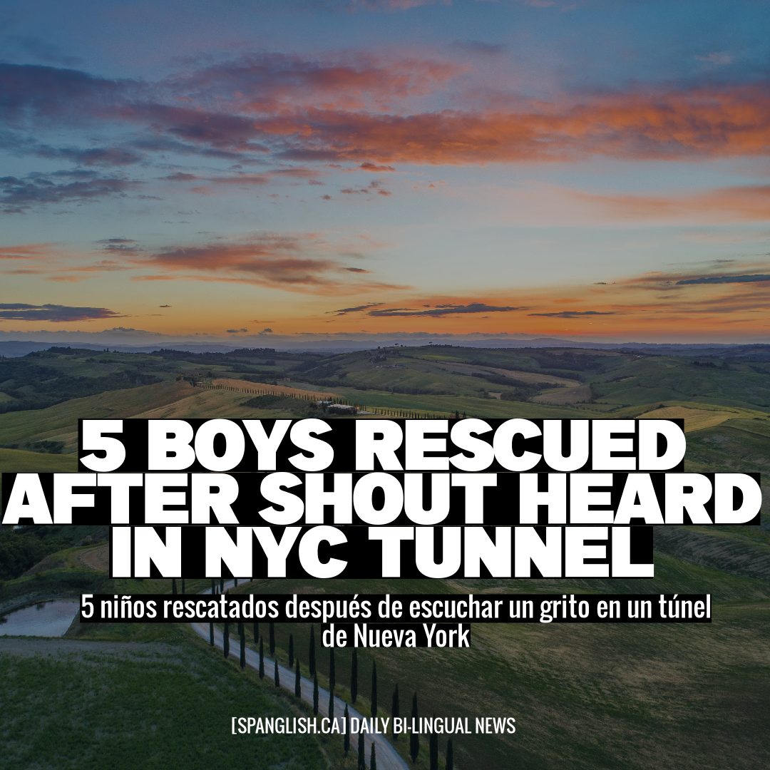 5 Boys Rescued After Shout Heard in NYC Tunnel