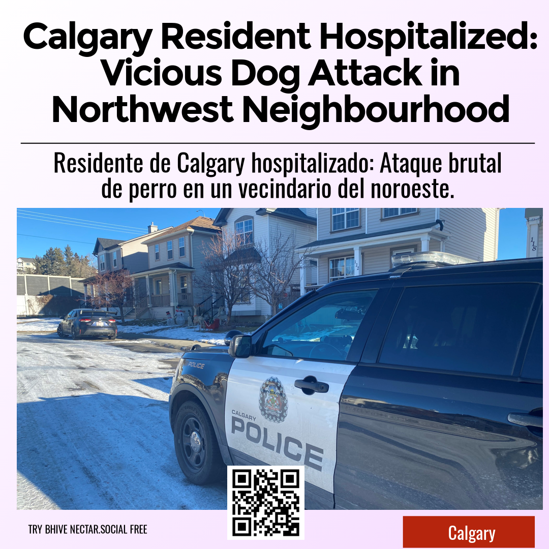 Calgary Resident Hospitalized: Vicious Dog Attack in Northwest Neighbourhood