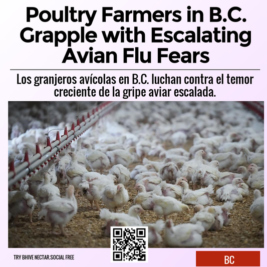 Poultry Farmers in B.C. Grapple with Escalating Avian Flu Fears