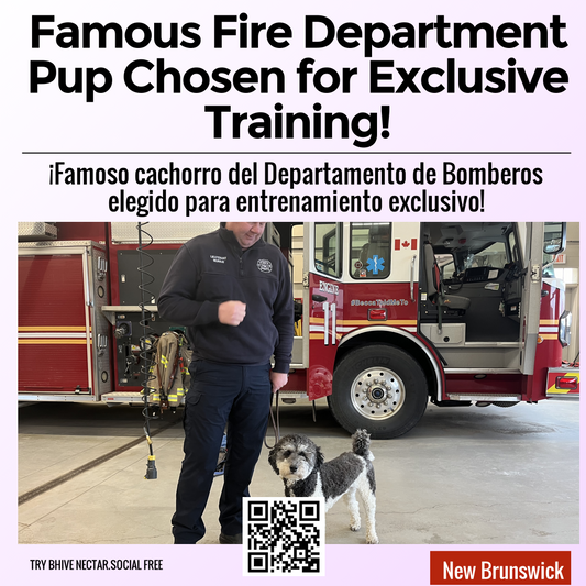 Famous Fire Department Pup Chosen for Exclusive Training!