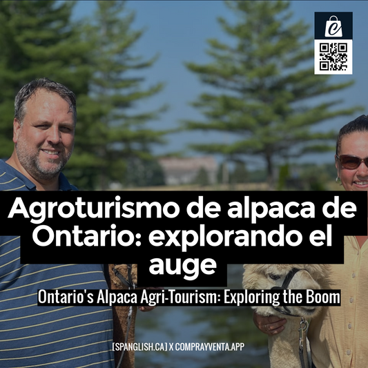 Ontario's Alpaca Agri-Tourism: Exploring the Boom